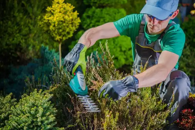 landscaping services Hubbard Lake